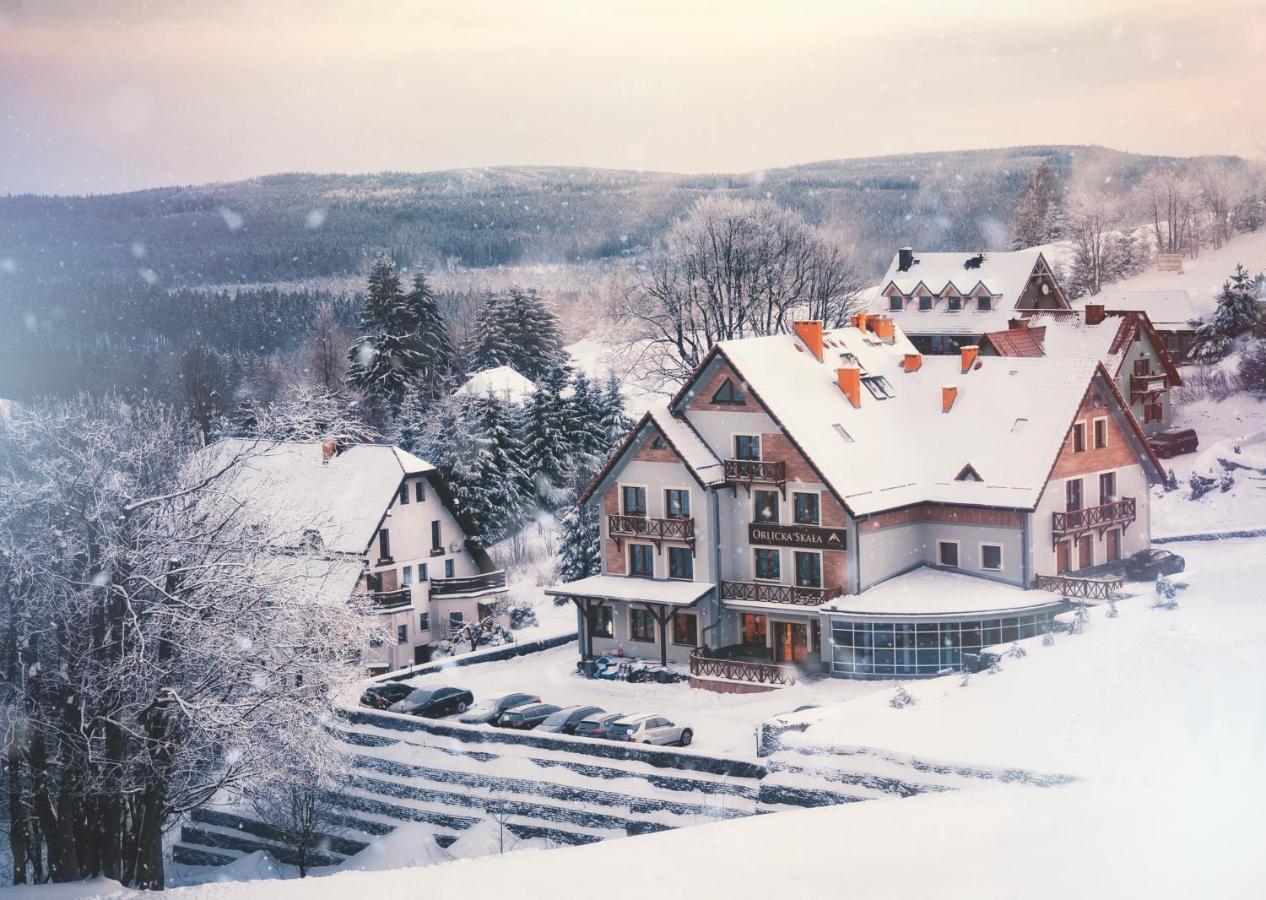 Orlicka Skala Bed and Breakfast Zieleniec  Eksteriør billede